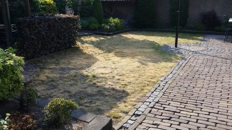 Kunstgras in achtertuin Wagenberg