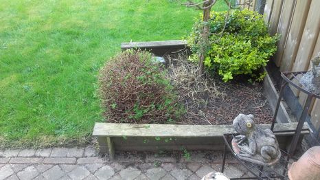 Echt gras vervangen voor kunstgras