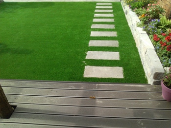 Kunstgras Mijnsheerenland