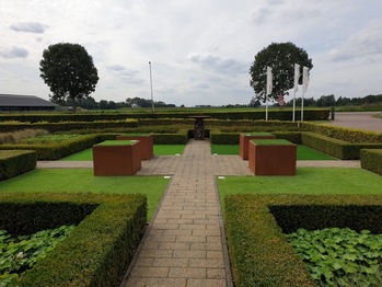 Kunstgras in Terheijden